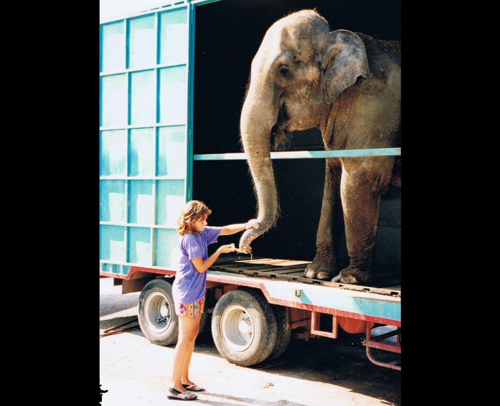 14 ans - Nourrit un éléphant