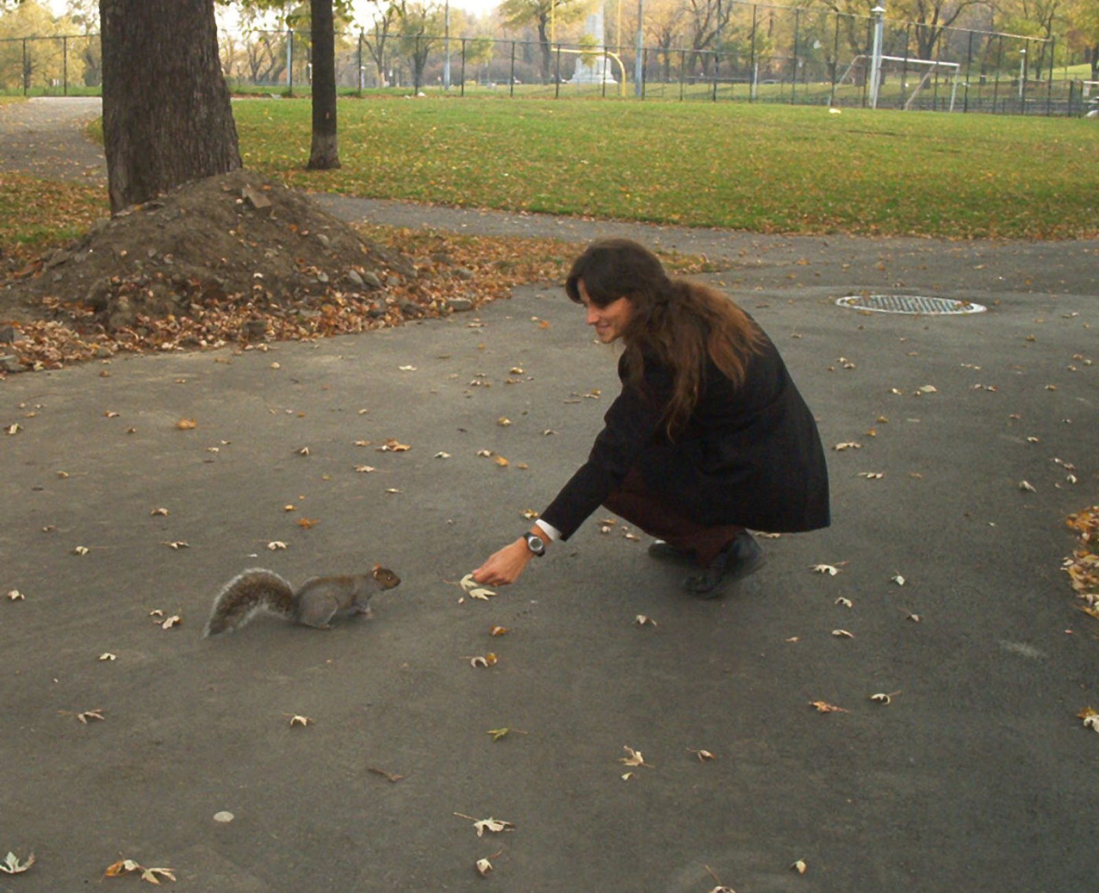 27 ans - Un écureuil à Montréal