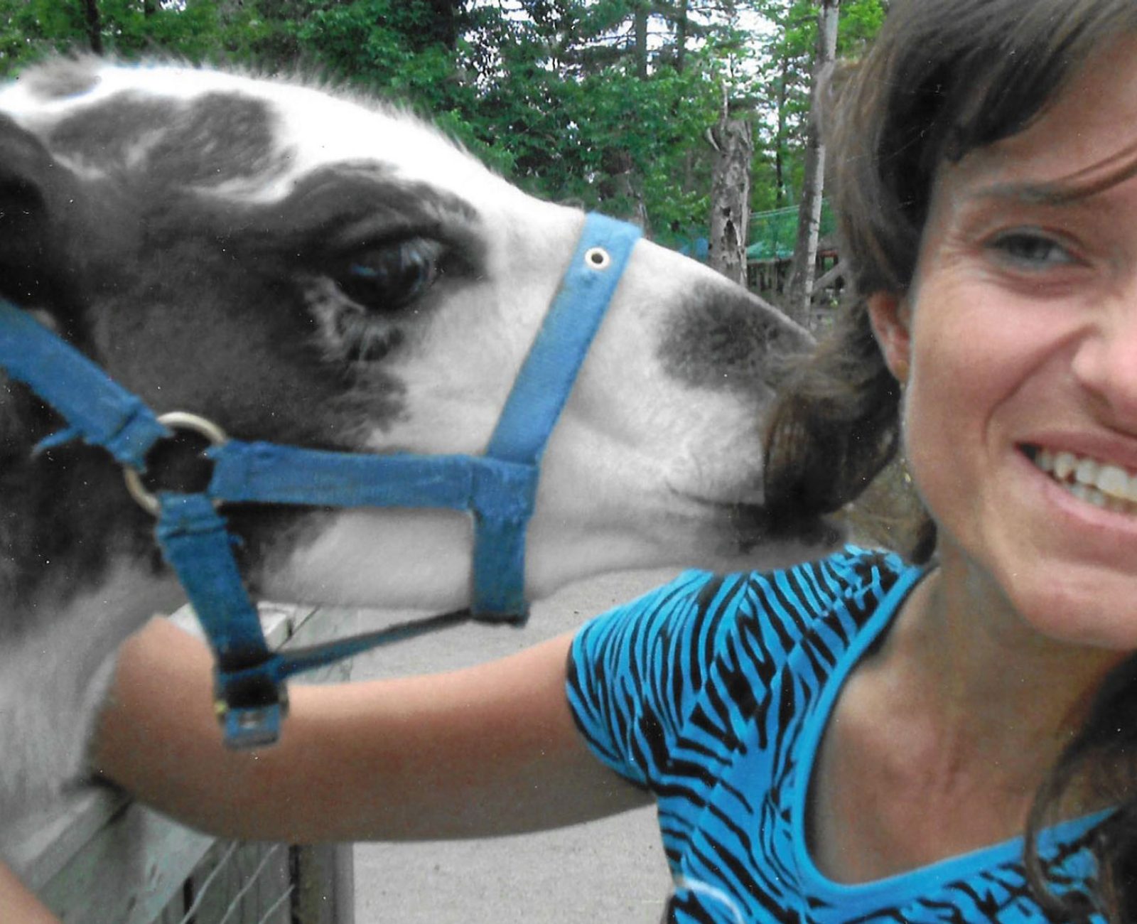 31 ans - Un Lama qui confond mes cheveux avec de la paille