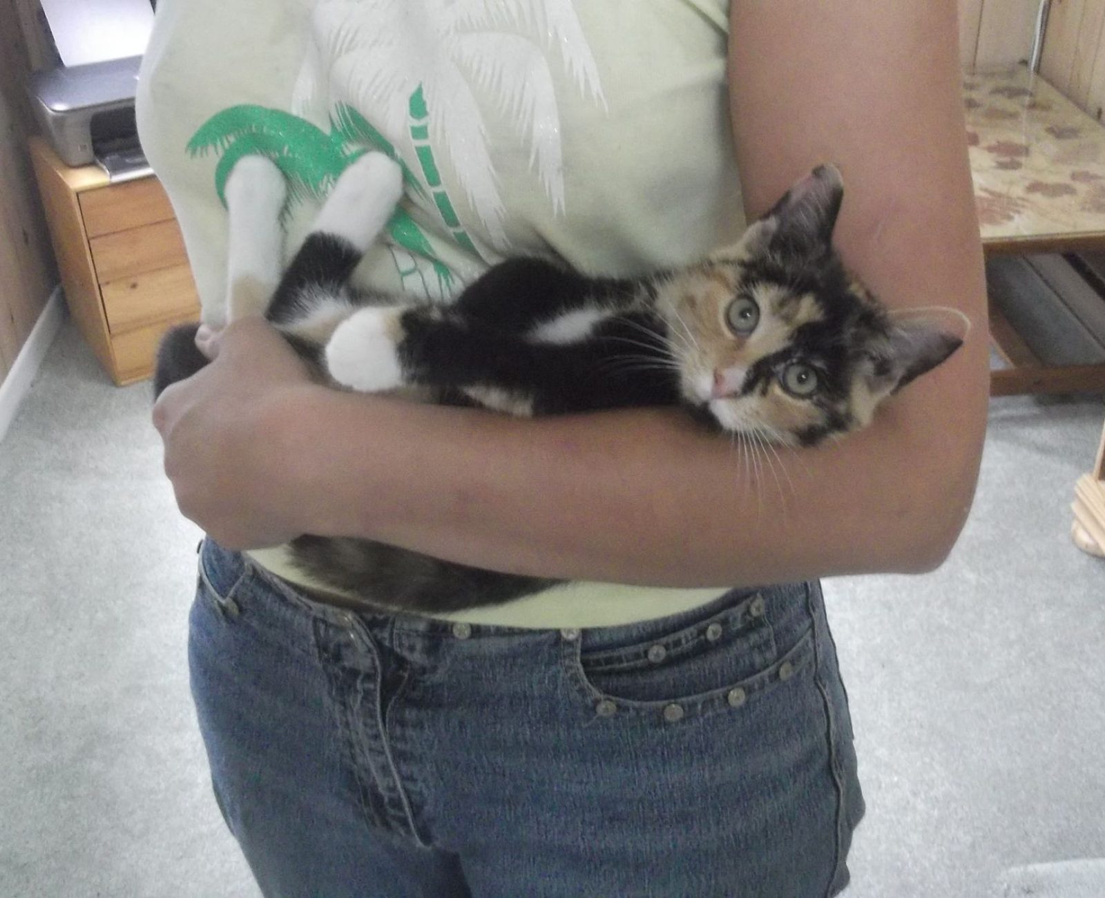 35 ans - La mère biologique de Chouchou, Cybèle