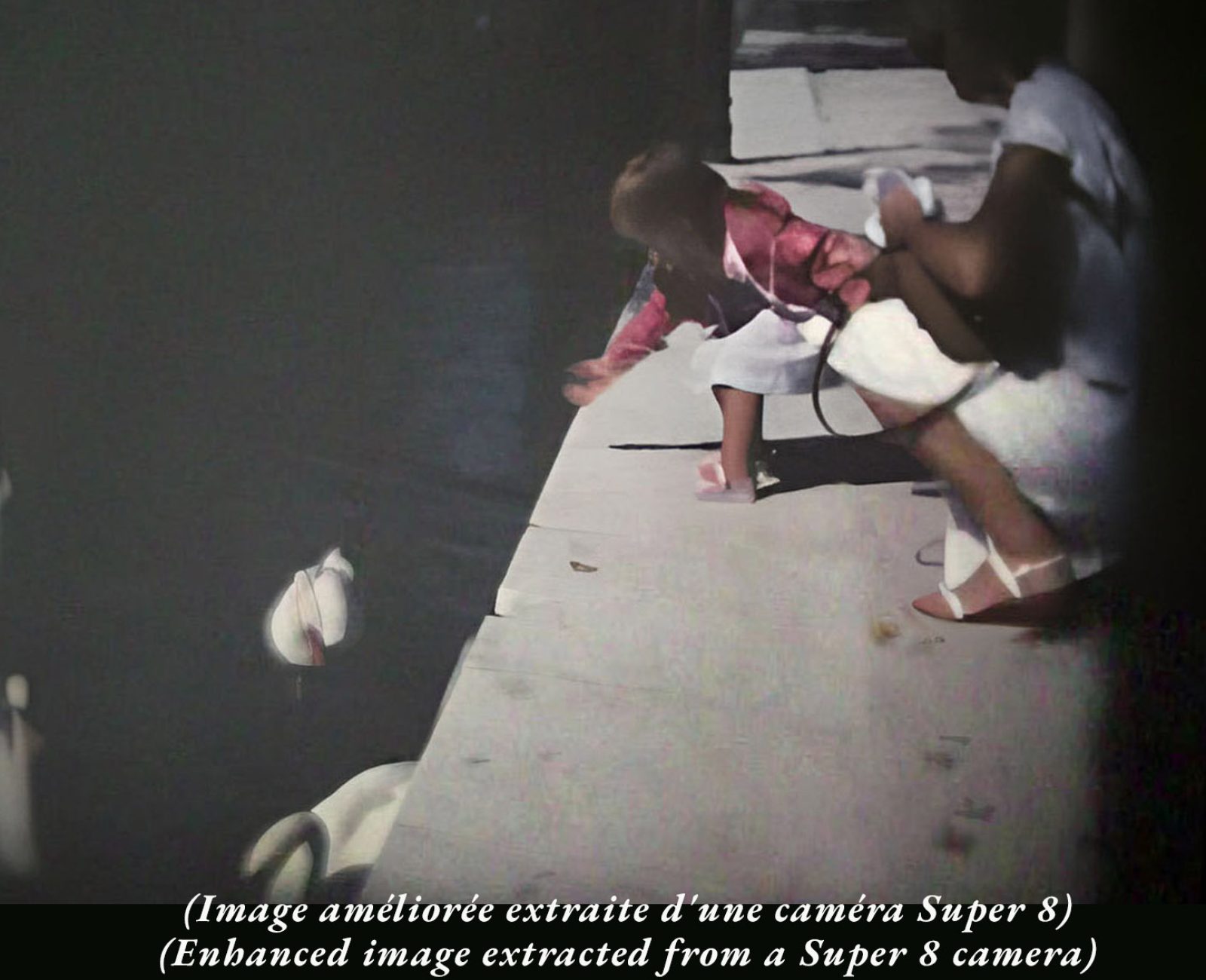 4 ans - Nourrit les Cygnes