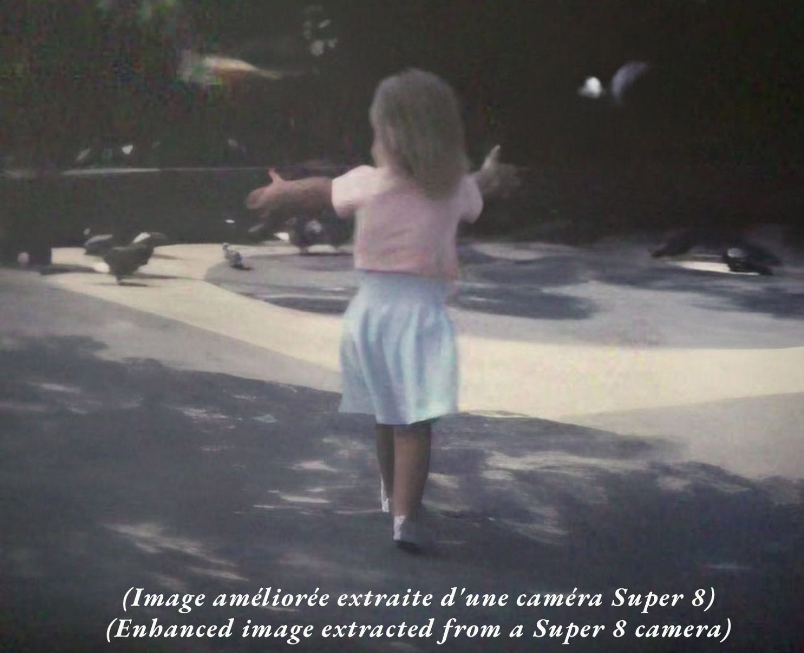 4 ans - Veut voir les pigeons