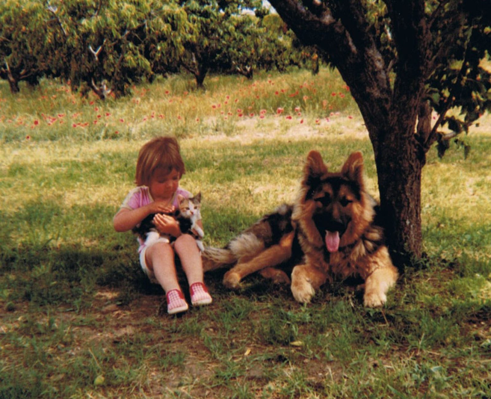 6 ans - Mon chien Oslo et ma chatte Duchesse